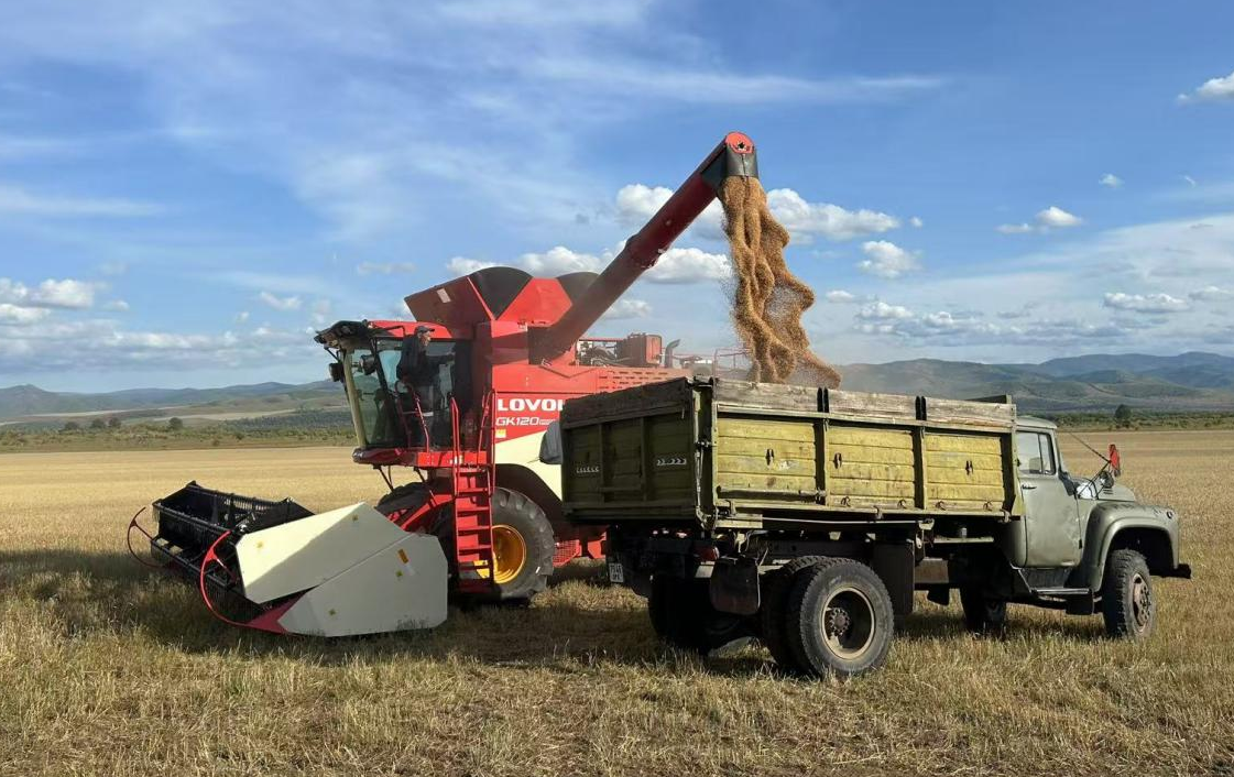 LOVOL Overseas Service Safeguards Mongolian Harvest